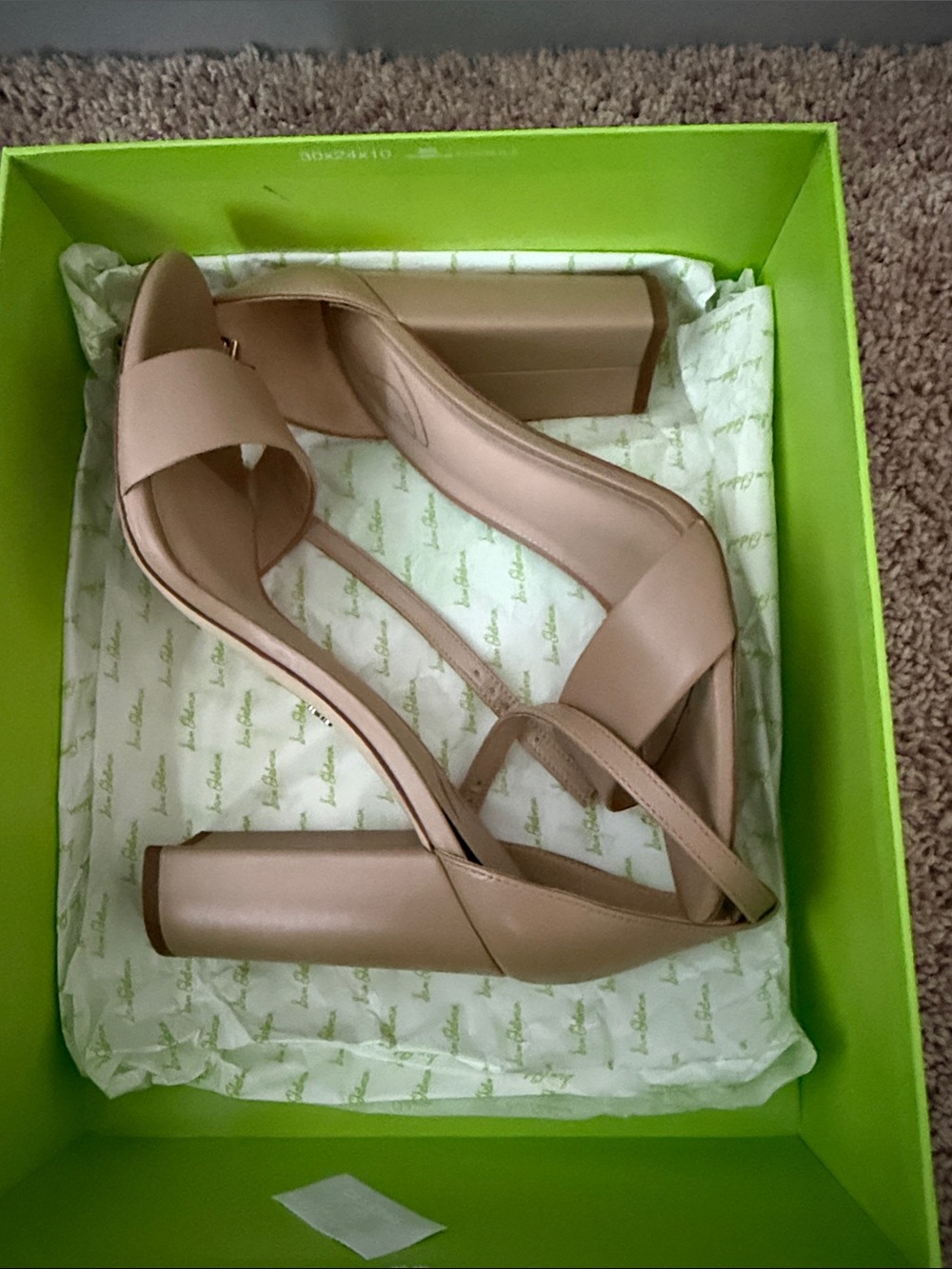 Sam Edelman Yaro Classic Nude (Size 10)